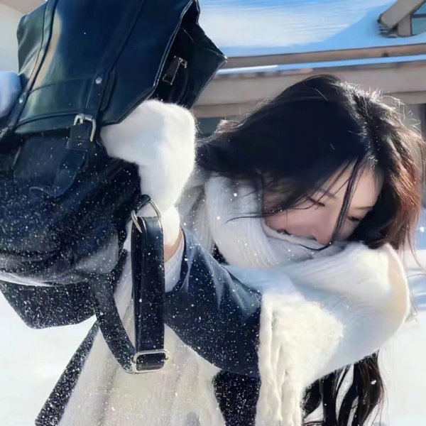 冰球小王子